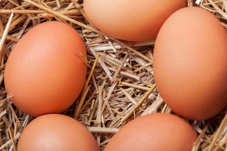 The eggs which are laid out in a basket with hay, a basket with crude eggs in a dry grass by Easter.