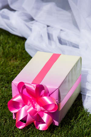 The box with a gift festively packed also lies on a green lawn.の写真素材