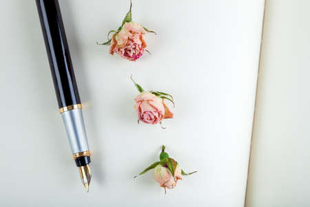 the ink handle lies on empty pages of a notebook with blank sheets, a fountain pen from a book with rose.の写真素材