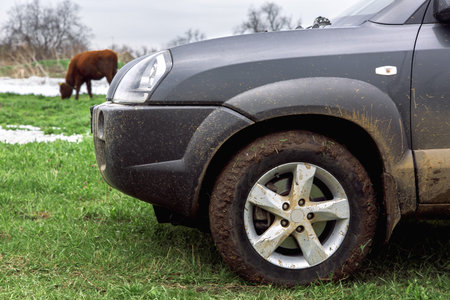 The SUV with dirty wheels and splodgy dirt a driver's door, on green grass.