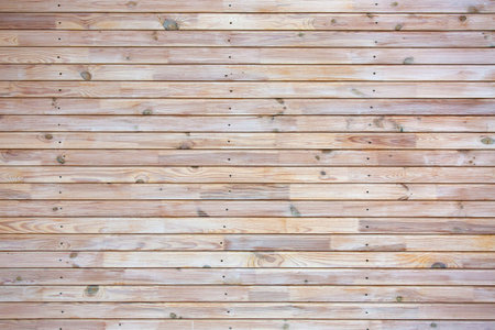 texture of a tree, wooden background.