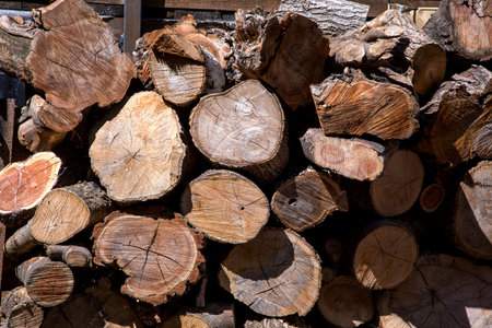 Pile of wood log storage for industry or decor.