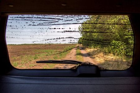 View of a dusty rear glass of the car with the dirty  back glass with wiper, overlooking the country...