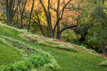 landscape design on a green lawn with flowers on a background of trees with yellow autumn leaves.の写真素材