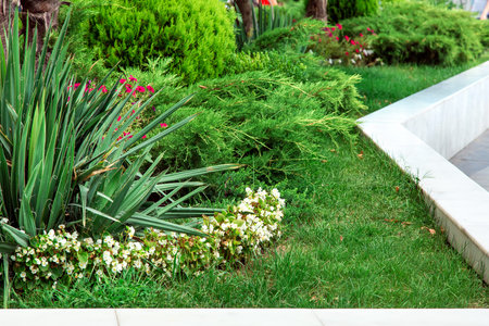 Landscape design with greenery flower beds framed around with white marble.