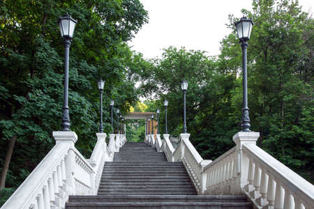 Staircase with gray steps and white railing with columns and lampposts of street lighting, climbing up the steps among the trees.の写真素材