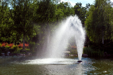 A pond with water and a fountain spraying a stream of water in the background garden with trees...