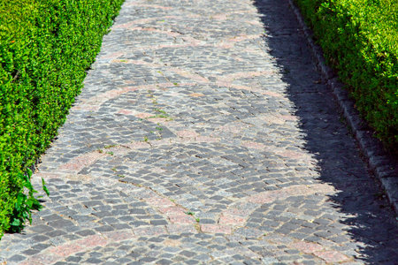 A stone paved footpath with a pattern close up illuminated by sunlight and surrounded by green...