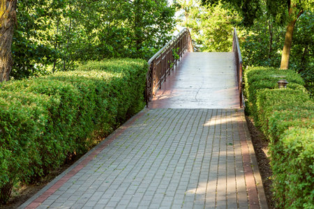 pavement walkway leading to an iron bridge with railings in a park area with hedges of green bushes and trees.の写真素材
