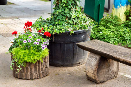 wooden flowerpot with flowers in the form of a stump next to a wooden park bench with a pedestrian sidewalk, close-up.の写真素材