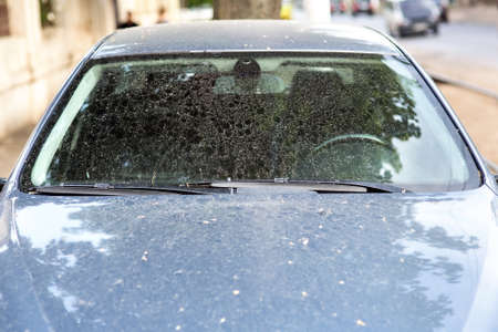 the windshield of a dirty car in stains and drops of dirt after a rain, front view of the window with wipers.の写真素材