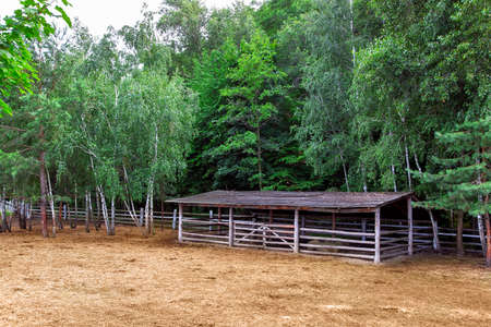 farm shelter pasture for cloven-hoofed animals with a barn canopy for animals with dry hay and green trees, a place for pasture without animals nobody.の写真素材