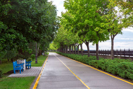 park with an asphalt road and yellow markings for bicycles and pedestrians with trees growing in a row along the road and places for rest with wooden benches, nobody.の写真素材