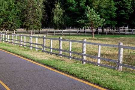 asphalt road with yellow markings on the side of the road a wooden fence a barrier for artiodactyl animals with grass and trees for pasture, without animals there is nobody.の写真素材