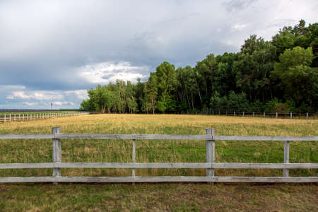 a pasture fenced by a wooden fence, a meadow with grass in the background a forest with tall trees and a cloudy sky.の写真素材