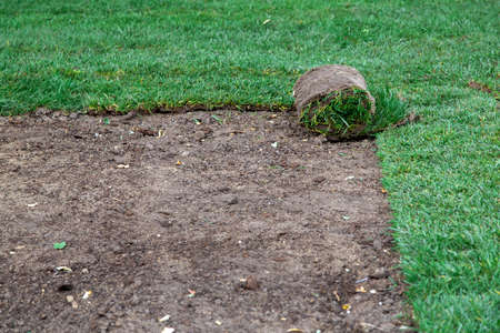 roll a lawn lay on the ground landscaping glades in the backyard, nobody copy space.の写真素材