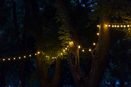 a garland of light bulbs glowing with warm light on the branches of trees at the evening party,...