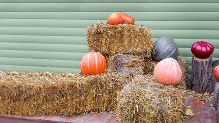 halloween decor near wooden store wall with haystack and pumpkins, poster with place for text on theme of celebration of holiday of autumn, copy space nobody.の写真素材