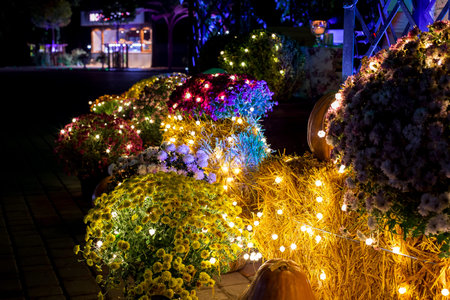 blooming colorful flowers with green leaves and pumpkin decorated with festive garland bulbs with glow close-up of plant in backyard of restaurant terrace christmas decor, nobody.の写真素材