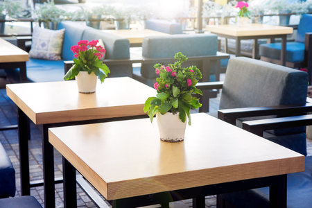 white flowerpots with blooming flower and green leaves on a wooden tables of a street cafe with soft...