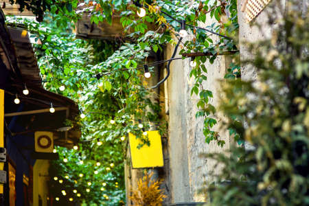 lighting bulb on a string of wire in the leaves of a plant on a narrow old town street to glow decoratively, nobody.の写真素材