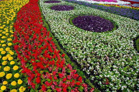 ornamental flower bed with various decorative blooming flowers planted in the central city park spring beauty of the garden, close up landscape lit by sun, nobody.の写真素材