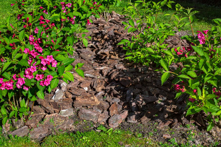 surface covering of the soil with mulch to protect it and improve its properties for caring for...