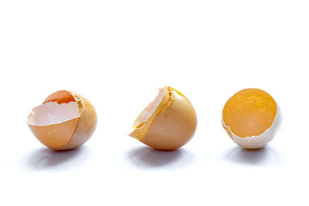 three eggshell fresh broken chicken egg halves with shadow isolated on white background with copy space, leftover ingredients for cooking protein food.の写真素材