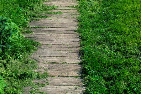 aged shabby planks on backyard terrace of footpath landscaped from wooden way among overgrown green...