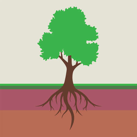 root system of a tree with leaves. dividing the soil into a layer. flat vector illustration.のイラスト素材