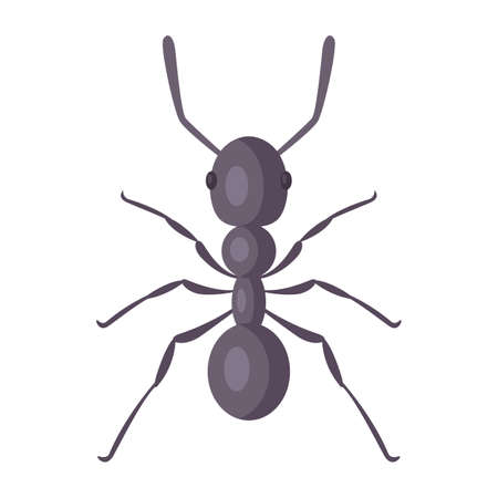 black strong ant on a white background. Flat vector illustration of an insect.のイラスト素材