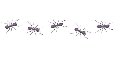 black ants go in line. parasites take over the house. Flat vector illustration of insects.のイラスト素材