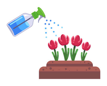 tulips grow in the garden bed. care for flowers. flat vector illustration.のイラスト素材