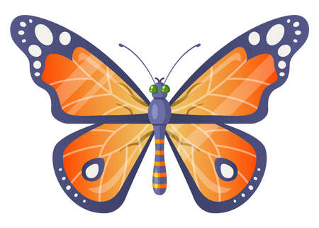 orange realistic butterfly. spring insect. flat vector illustration.のイラスト素材