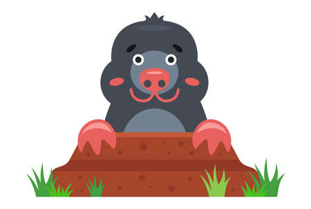 a mole peeks out of a hole in the garden. flat vector illustration.のイラスト素材