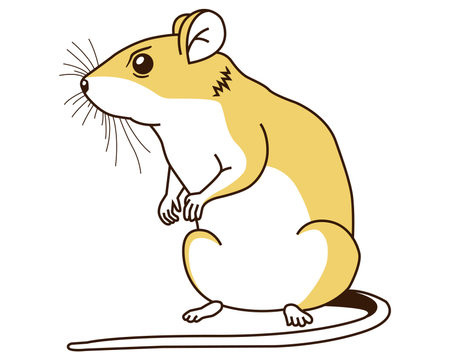 realistic field mouse. malicious rodent. flat vector illustration.のイラスト素材