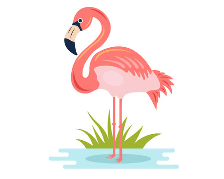 pink flamingo stands on the shore and catches fish. bird character in natural habitat. flat vector illustration.のイラスト素材