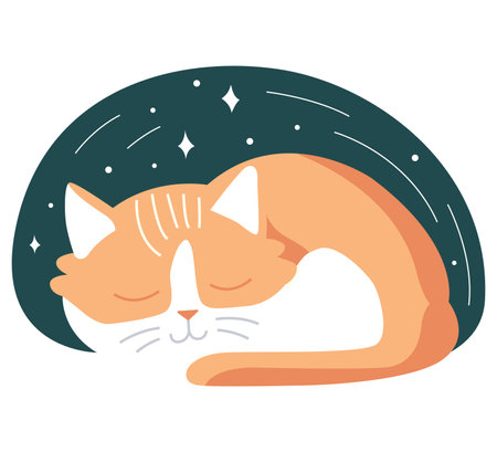 cute sleeping cat at night under the starry sky. flat vector illustration.のイラスト素材