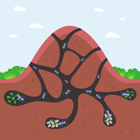 a large anthill with passages underground. flat vector illustration.のイラスト素材