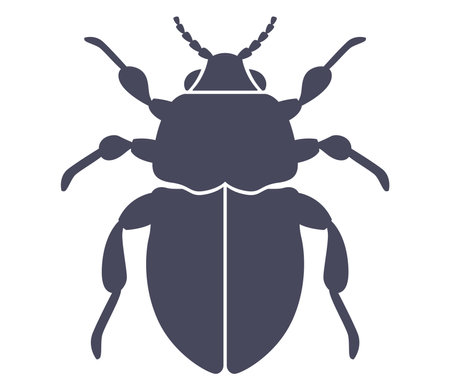 black beetle icon. flat vector illustration.のイラスト素材