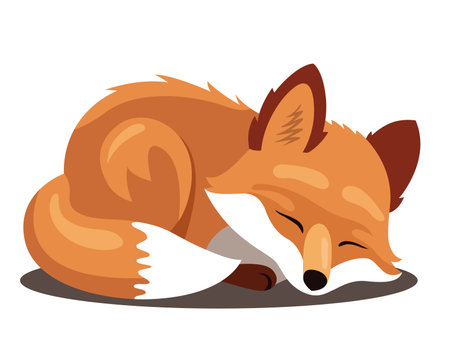 red sleeping fox. flat vector illustration.のイラスト素材