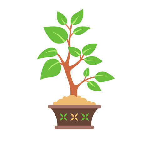 Bonsai tree in a pot. House plant.のイラスト素材