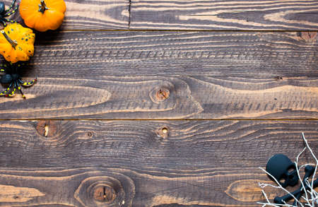 Halloween pumpkins, spiders and various objects on wooden backgroundの写真素材