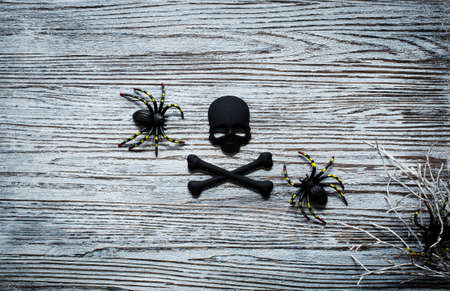 Halloween pumpkins, spiders and various objects on wooden backgroundの写真素材