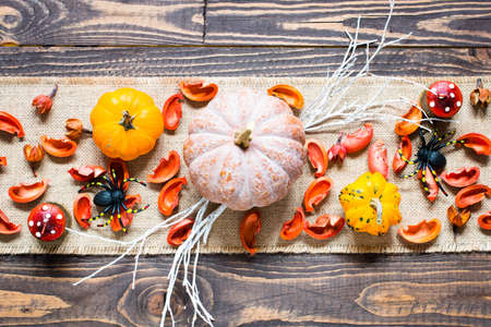 Halloween pumpkins, spiders and various objects on wooden backgroundの写真素材