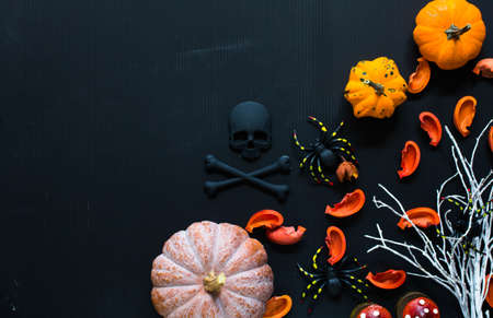 Halloween pumpkins, spiders and various objects on wooden backgroundの写真素材