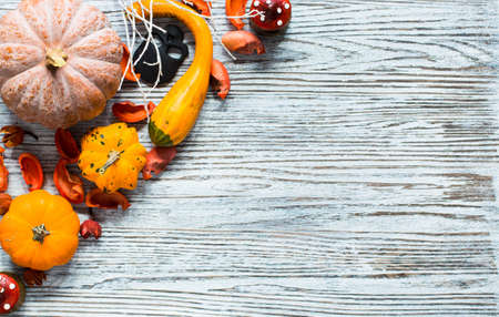 Halloween pumpkins, spiders and various objects on wooden backgroundの写真素材
