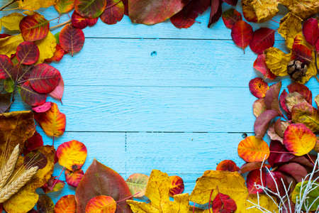 Colorful autumn leaves, yellow, orange and red over a wooden backgroundの写真素材