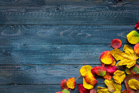 Colorful autumn leaves, yellow, orange and red over a wooden backgroundの写真素材