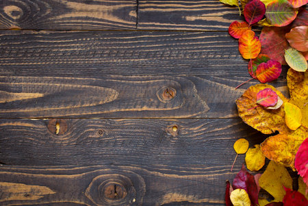 Colorful autumn leaves, yellow, orange and red over a wooden background
